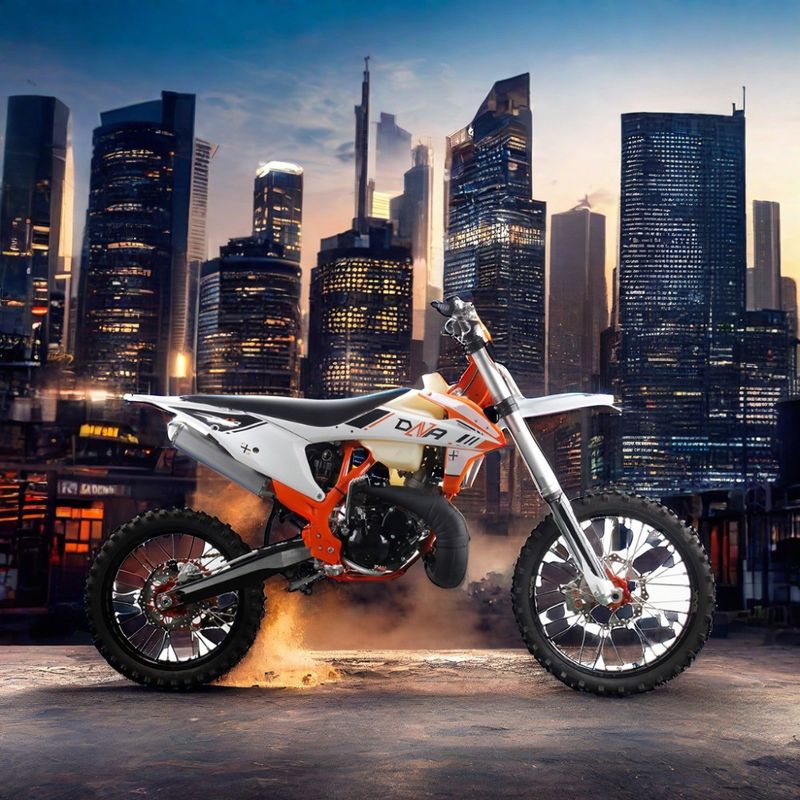 Moteur à deux temps à traction en chaîne Motocycle pour adultes 250cc Motocross tout-terrain