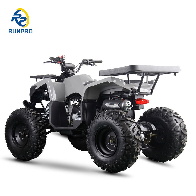 200cc 10 pouces roue en acier 2WD ATV hors route quatre roues moto UTV ferme moto quad vélo