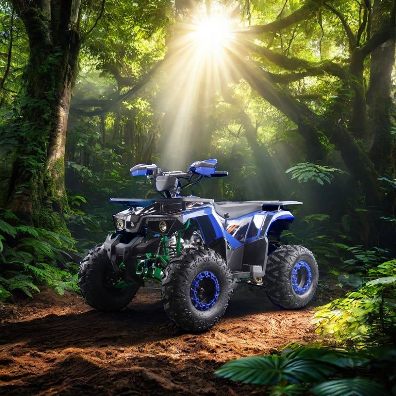 Puissants quads à essence de 125 cc avec type de conduite à deux roues motrices et caractéristiques intéressantes