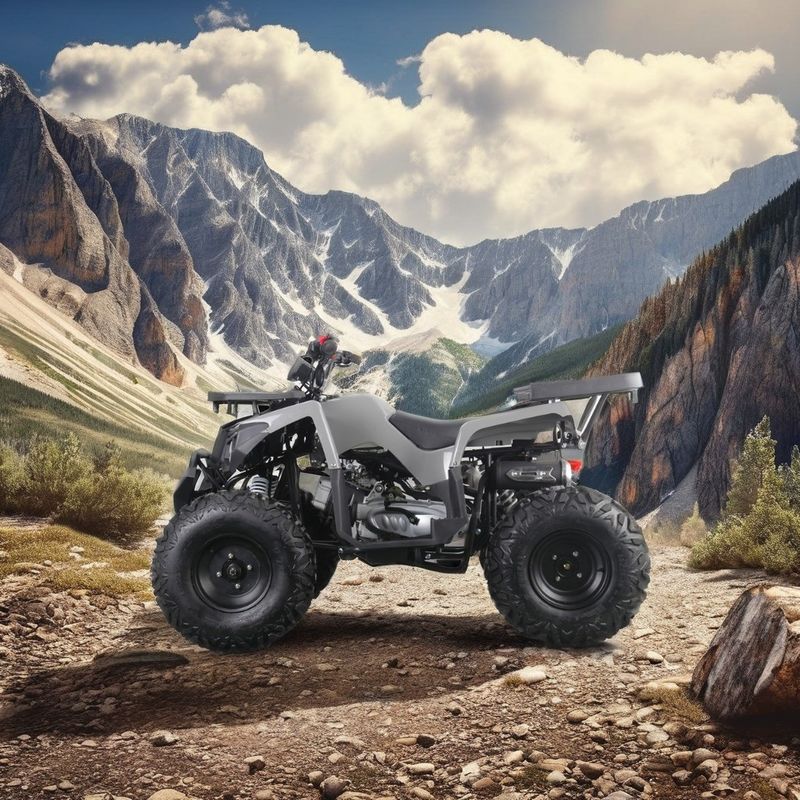 Off-road 10 pouces pneu 200CC 250CC adulte quad ATV avec démarrage automatique et chaîne de conduite